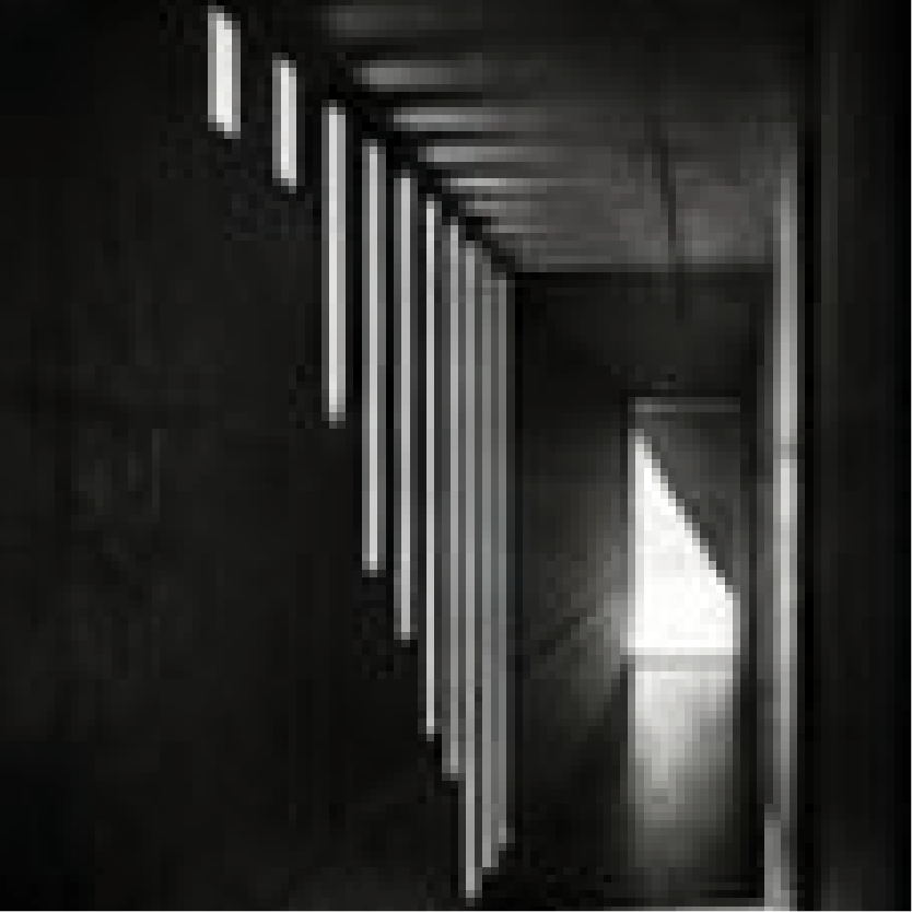 Cadence — האור