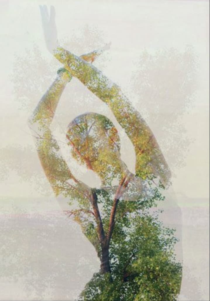 Growth