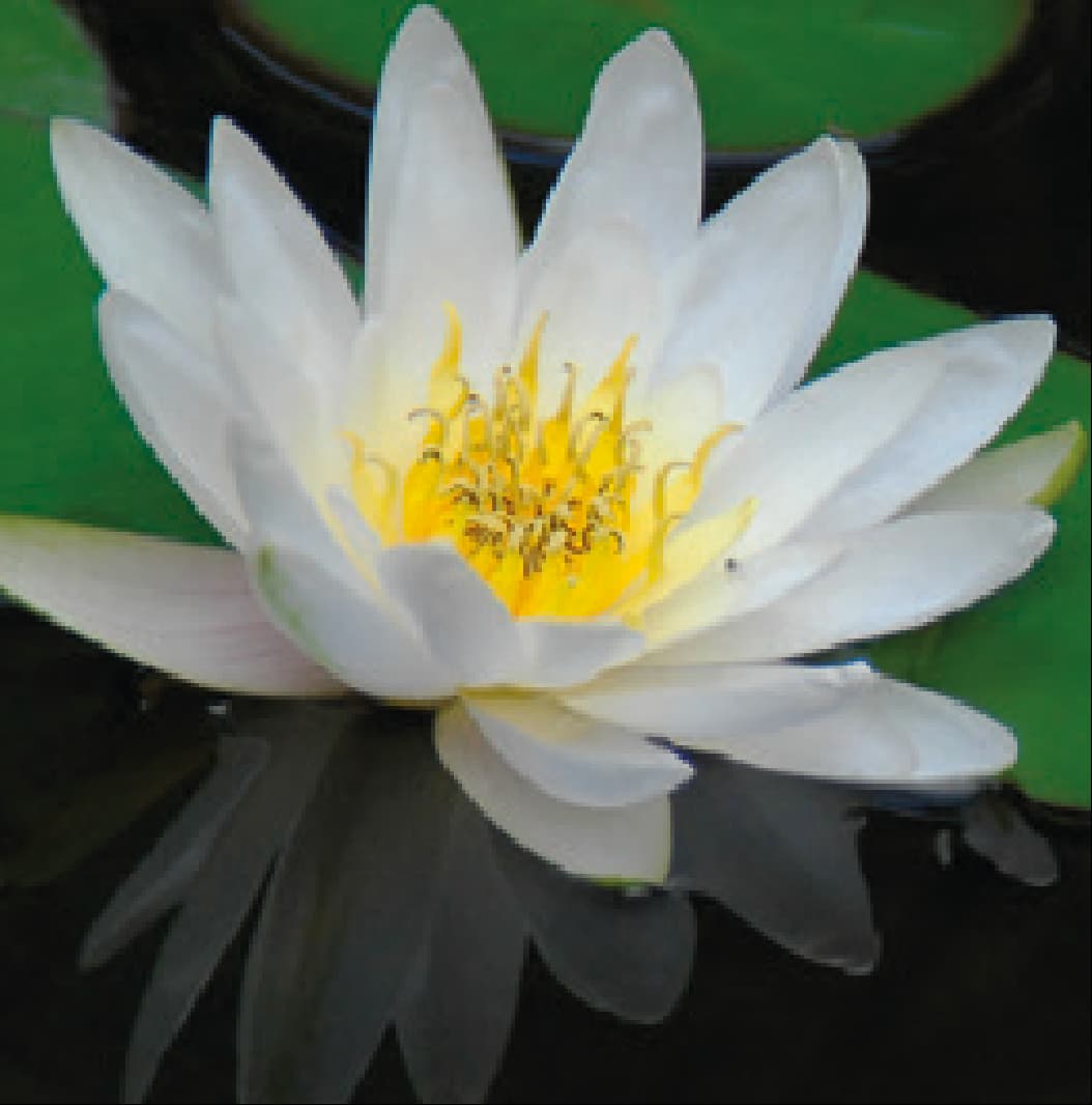 Colour source photo