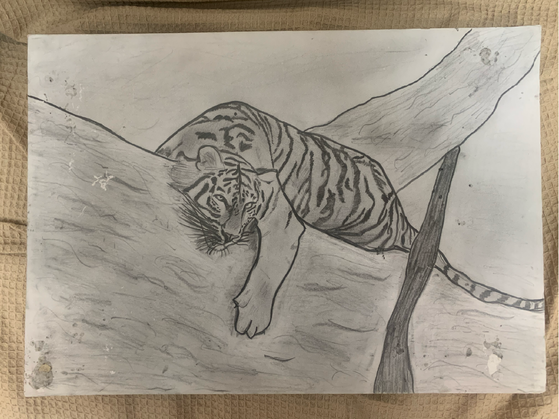 Early drawing